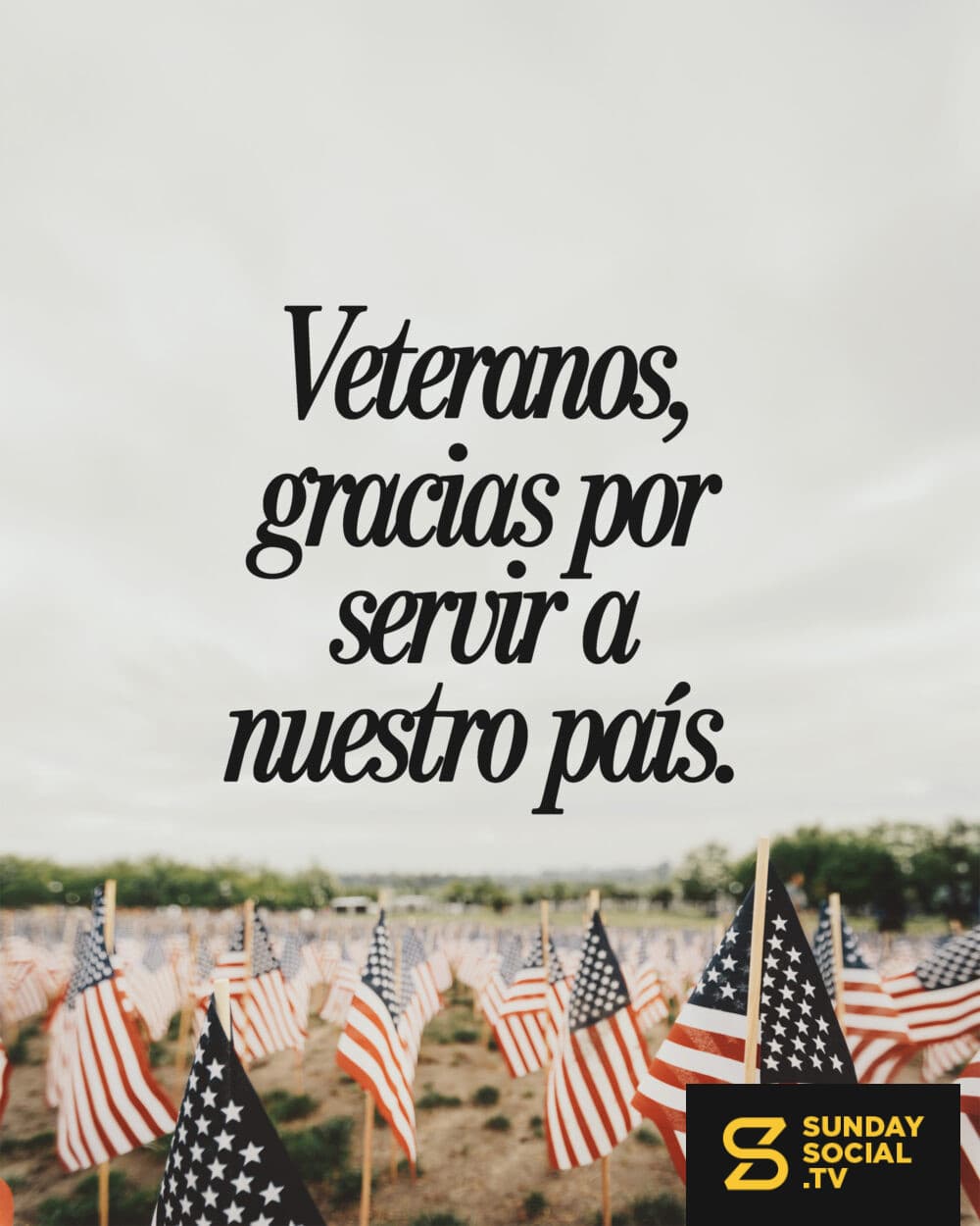 Veteranos, gracias por servir a nuestro país.