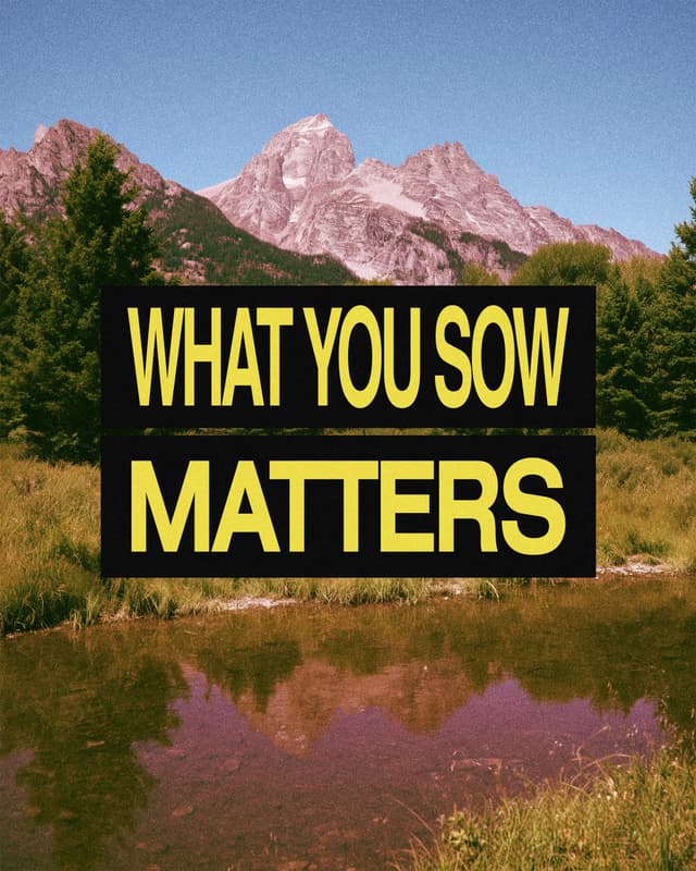 1: What you sow matters  2: Whoever sows sparingly will also reap sparingly,  3: and whoever sows generously will also reap generously. - 2 Corinthians 9:6  4: God honors a generous heart
