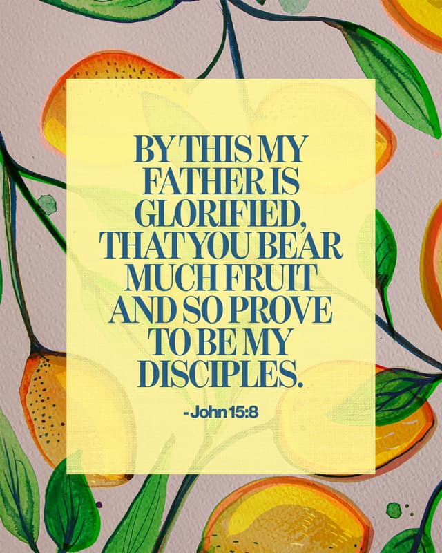 By this my Father is glorified, that you bear much fruit and so prove to be my disciples. - John 15:8