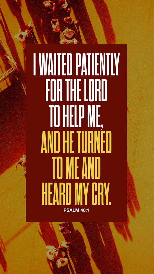 I waited patiently for the Lord to help me, and he turned to me and heard my cry. - Psalm 40:1