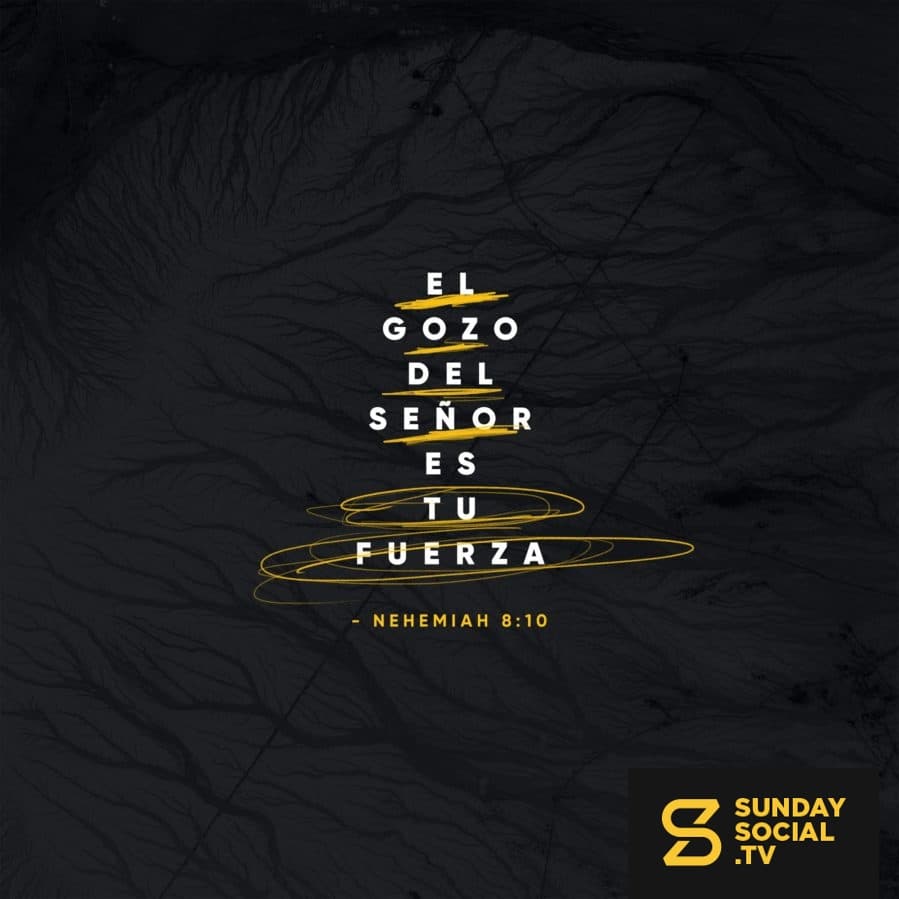 El gozo del SEÑOR es tu fuerza. - Nehemias 8:10