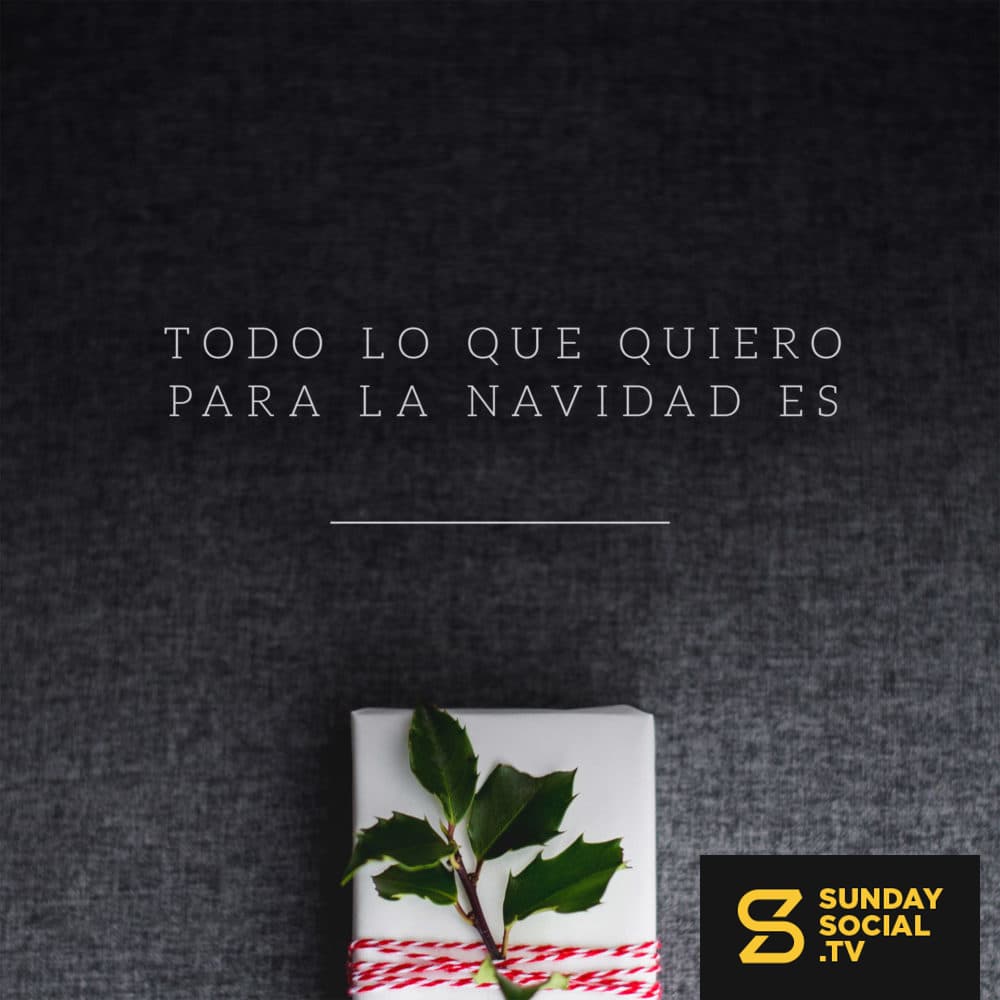 Todo lo que quiero para la Navidad es________.