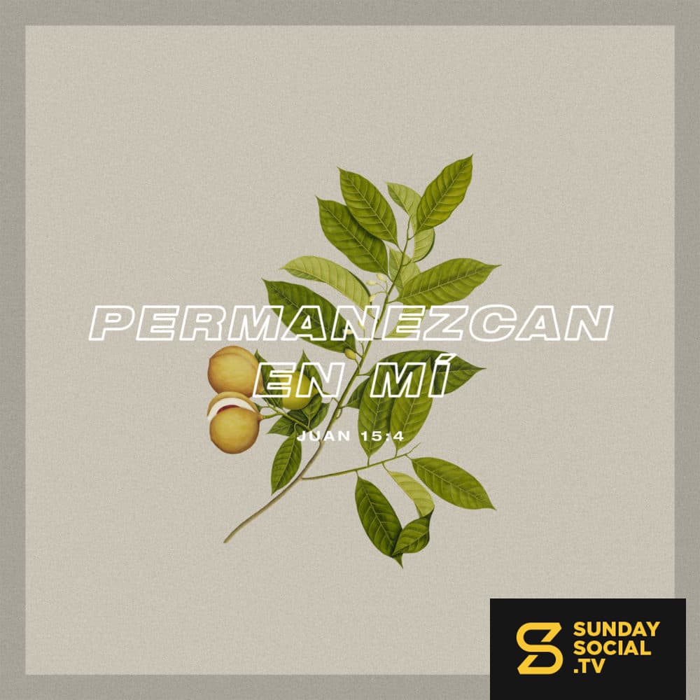 Permanezcan en mí - Juan 15:4