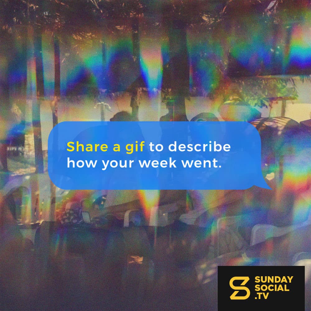 Share a gif to describe how your week went.