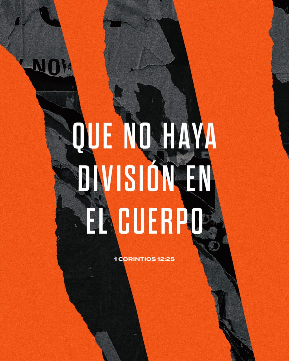 Que no haya división en el cuerpo - 1 Corintios 12:25