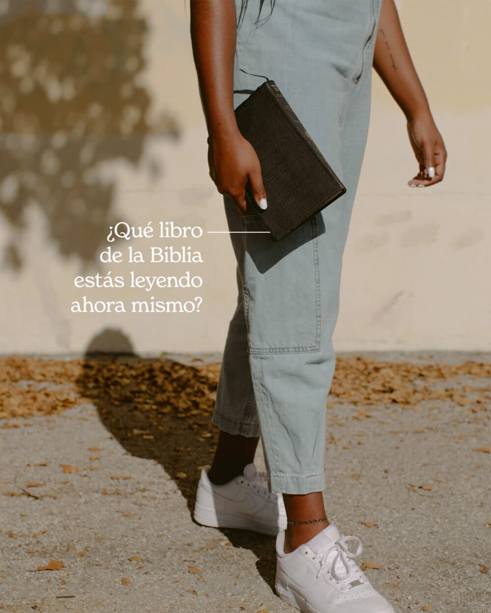¿Qué libro de la Biblia estás leyendo ahora mismo?