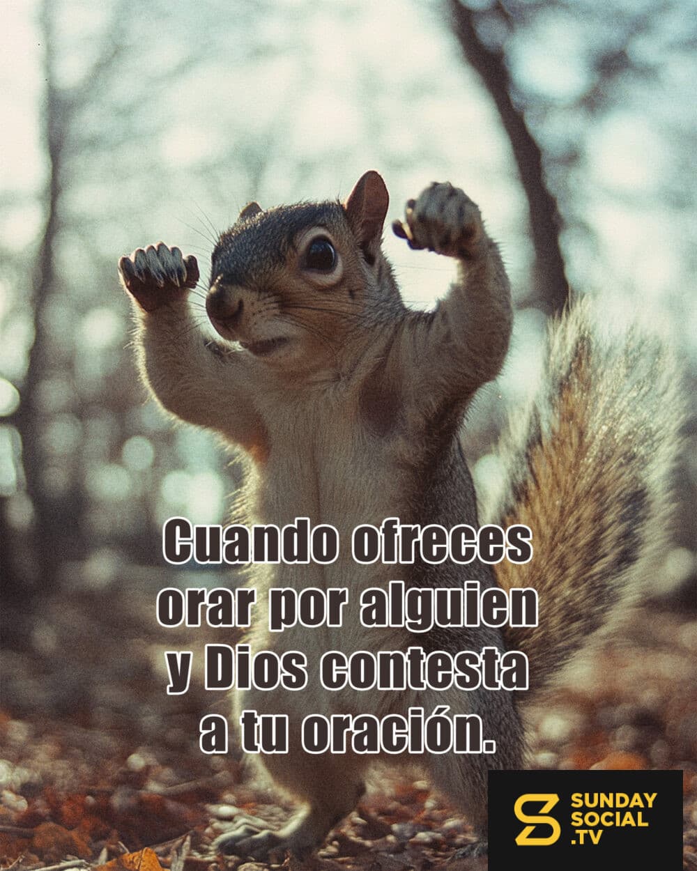 Cuando ofreces orar por alguien y Dios contesta tu oracíon.
