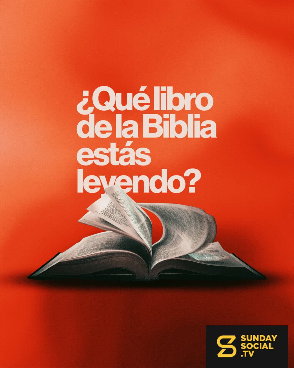 ¿Qué libro de la Biblia estás leyendo?