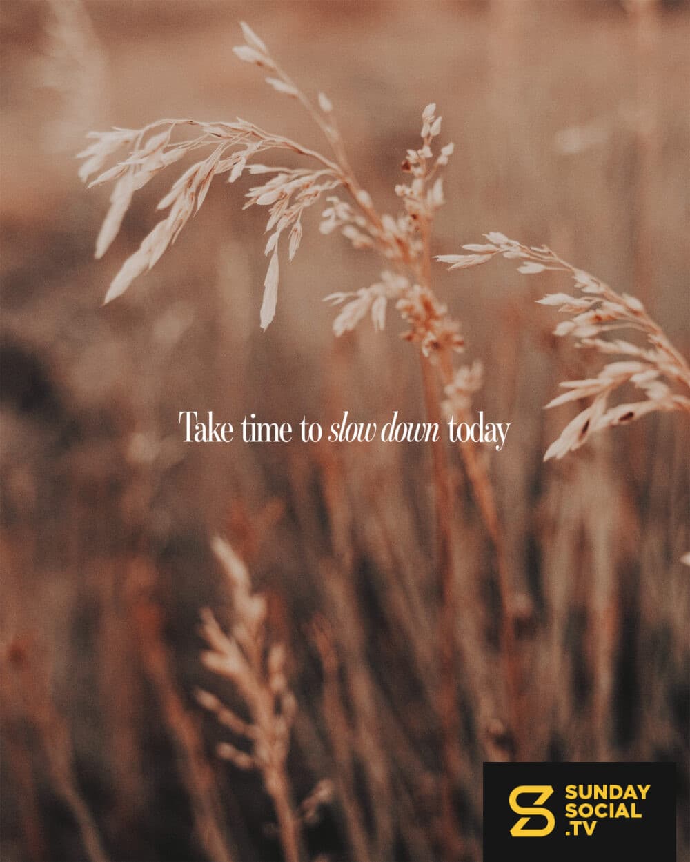 Take time to slow down today