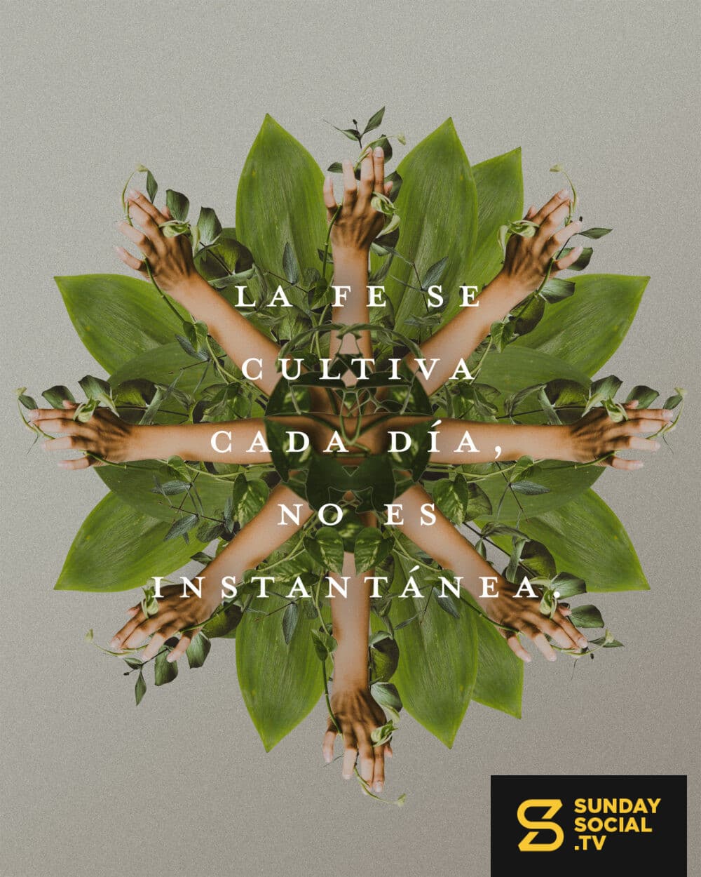 La fe se cultiva cada día, no es instantánea.